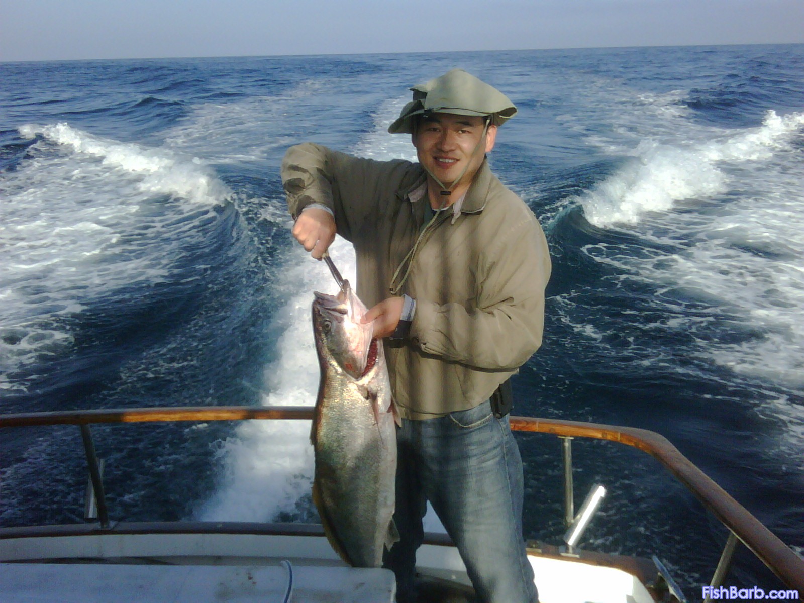 White Sea Bass